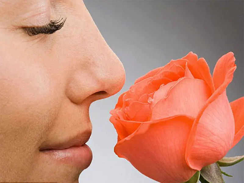 تاثیر جراحی بینی بر بویایی